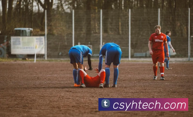 米兰体育网页官网服务体系